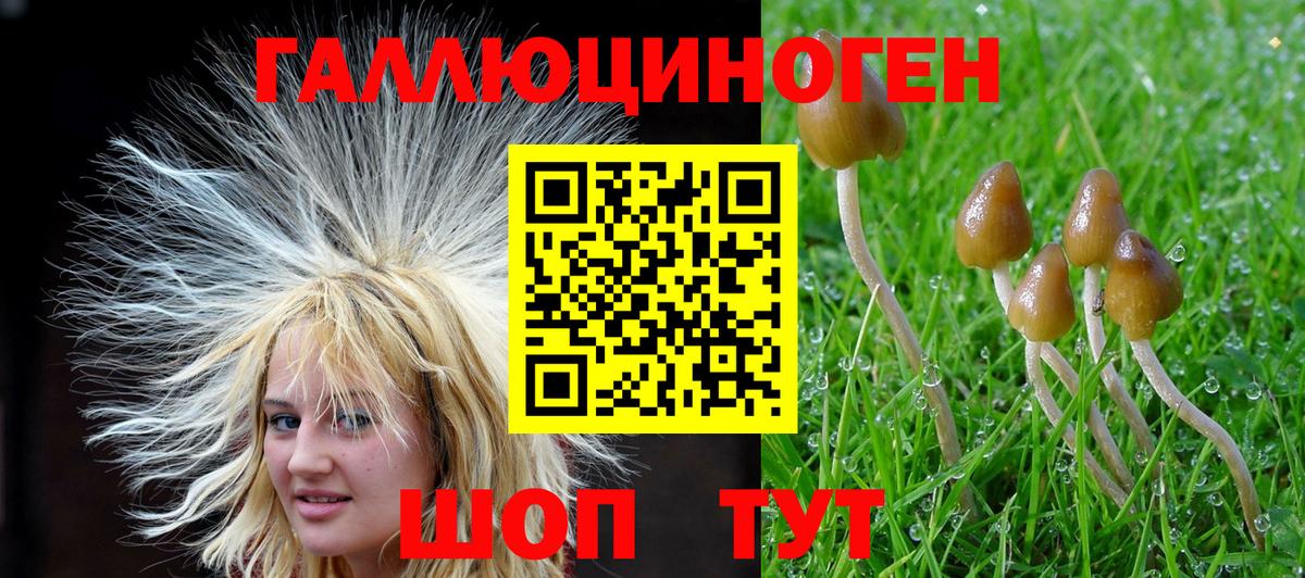 Галлюциногенные грибы ЛСД  Вход с VPN  Псилоцибиновые грибы Magic Shrooms  хочу   Златоуст 